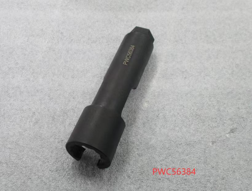 PWC56384