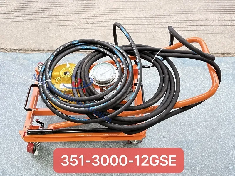 351-3000-12GSE